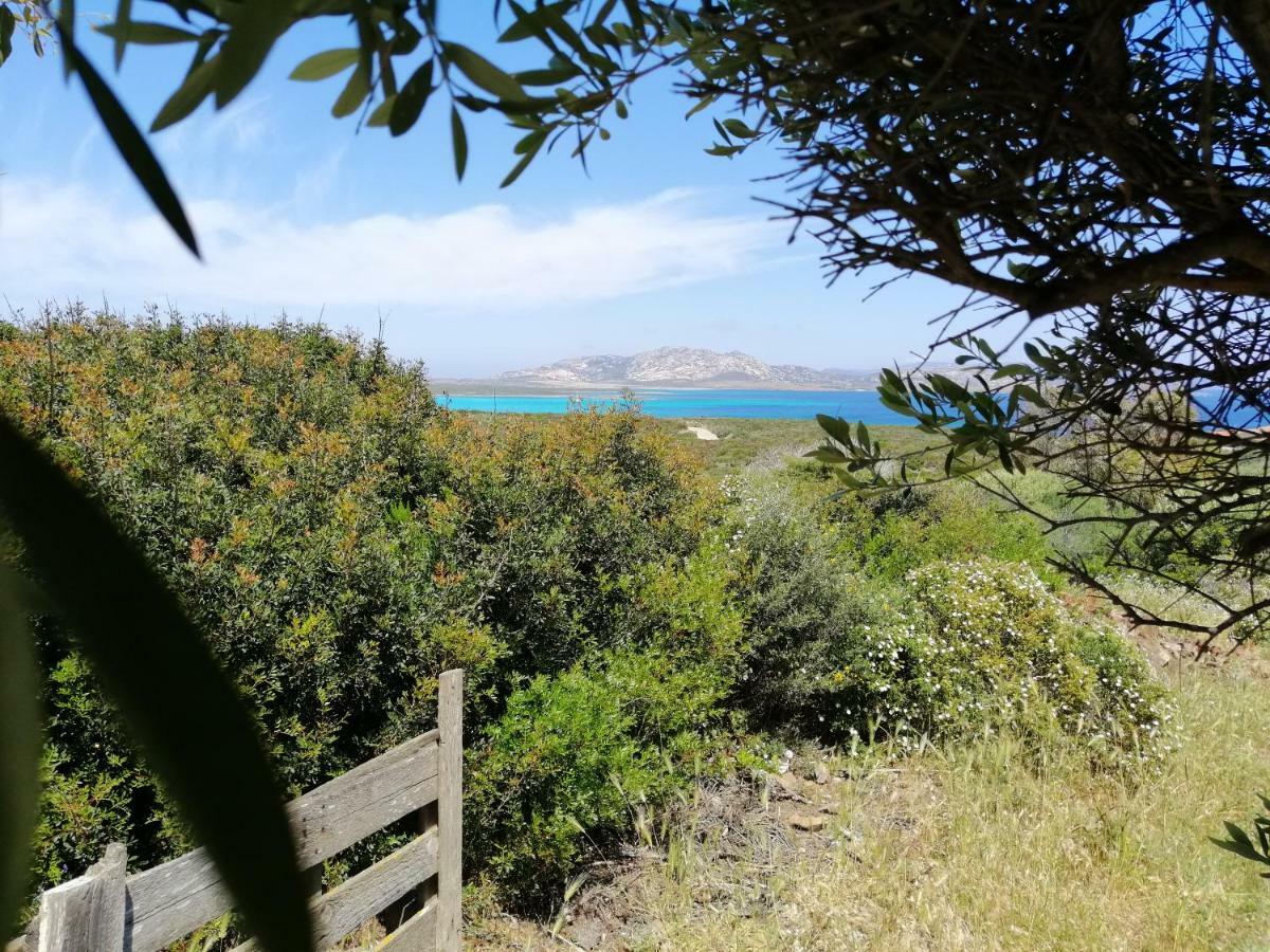 Guest house Roccabianca &